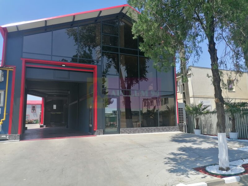 Hala + Birouri Moderne 2025 Zona Pallady